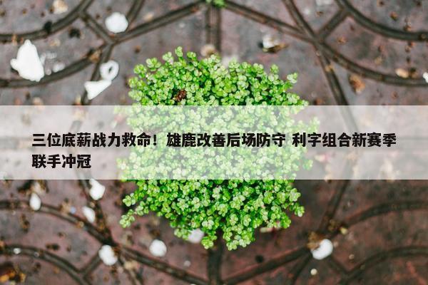 三位底薪战力救命！雄鹿改善后场防守 利字组合新赛季联手冲冠