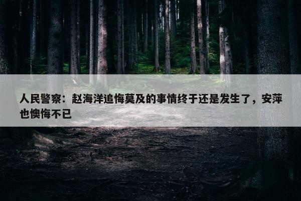 人民警察：赵海洋追悔莫及的事情终于还是发生了，安萍也懊悔不已