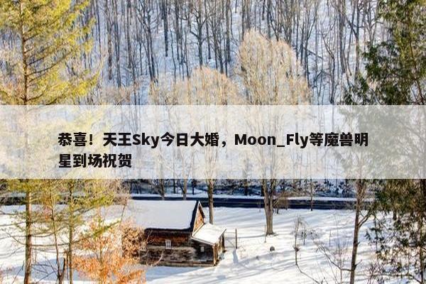 恭喜！天王Sky今日大婚，Moon_Fly等魔兽明星到场祝贺