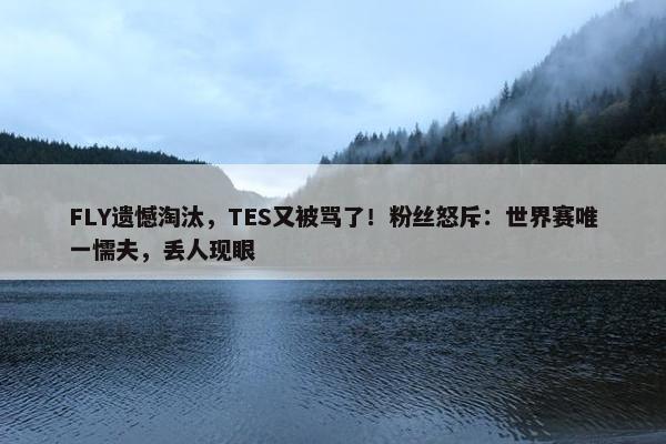 FLY遗憾淘汰，TES又被骂了！粉丝怒斥：世界赛唯一懦夫，丢人现眼