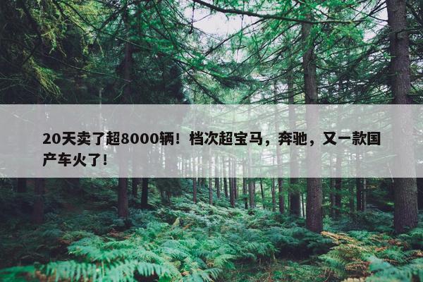 20天卖了超8000辆！档次超宝马，奔驰，又一款国产车火了！