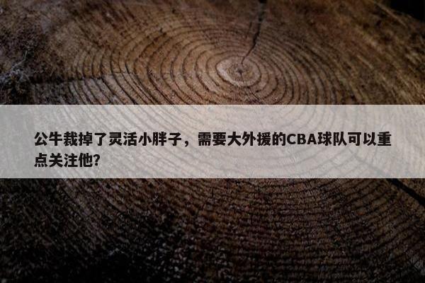 公牛裁掉了灵活小胖子，需要大外援的CBA球队可以重点关注他？