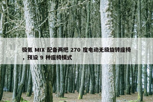 极氪 MIX 配备两把 270 度电动无级旋转座椅，预设 9 种座椅模式