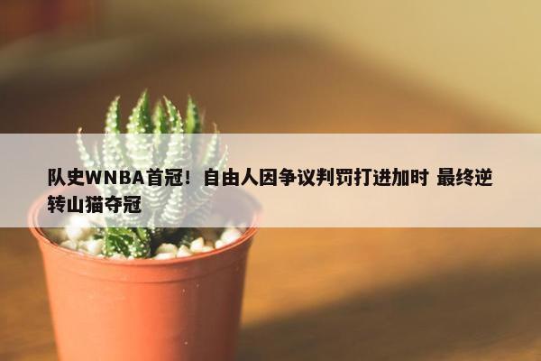 队史WNBA首冠！自由人因争议判罚打进加时 最终逆转山猫夺冠