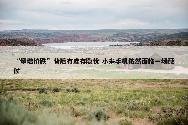 “量增价跌”背后有库存隐忧 小米手机依然面临一场硬仗