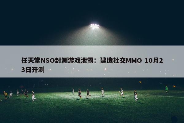 任天堂NSO封测游戏泄露：建造社交MMO 10月23日开测