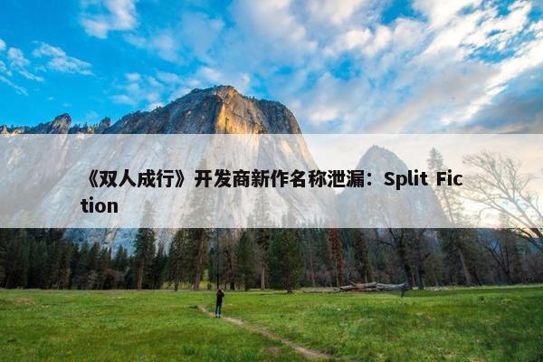 《双人成行》开发商新作名称泄漏：Split Fiction