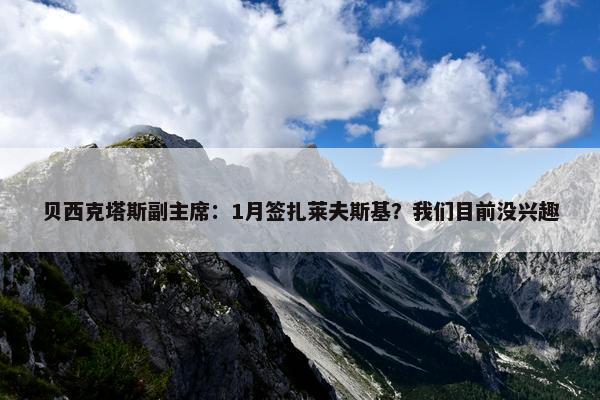 贝西克塔斯副主席：1月签扎莱夫斯基？我们目前没兴趣