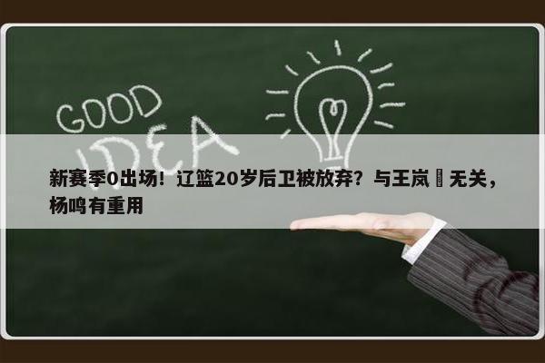 新赛季0出场！辽篮20岁后卫被放弃？与王岚嵚无关，杨鸣有重用