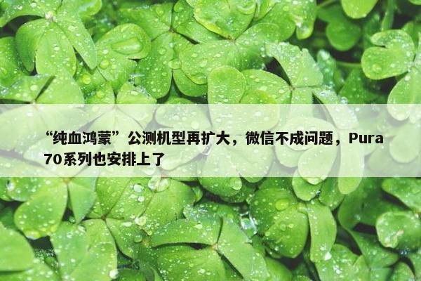 “纯血鸿蒙”公测机型再扩大，微信不成问题，Pura 70系列也安排上了