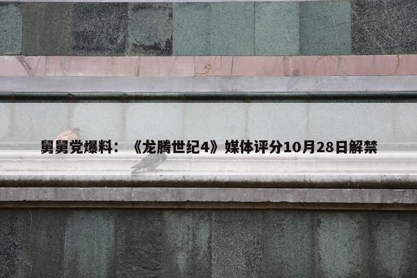 舅舅党爆料：《龙腾世纪4》媒体评分10月28日解禁