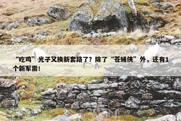 “吃鸡”光子又换新套路了？除了“苍蝇侠”外，还有1个新军需！