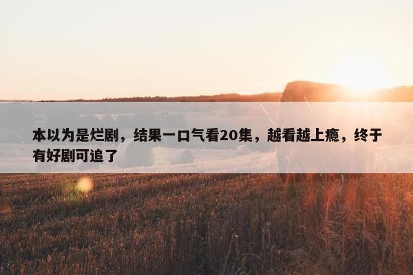 本以为是烂剧，结果一口气看20集，越看越上瘾，终于有好剧可追了