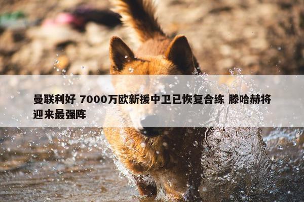 曼联利好 7000万欧新援中卫已恢复合练 滕哈赫将迎来最强阵