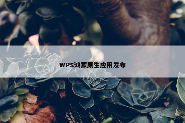 WPS鸿蒙原生应用发布