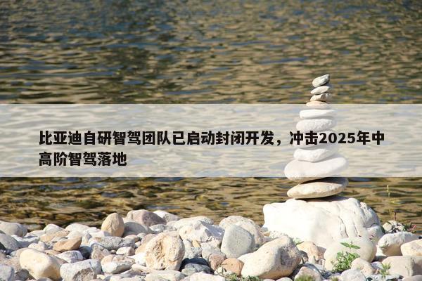 比亚迪自研智驾团队已启动封闭开发，冲击2025年中高阶智驾落地