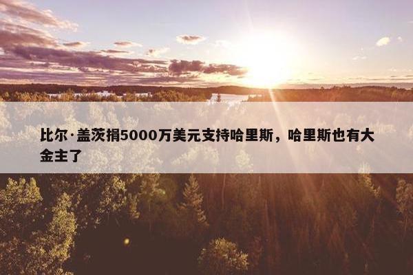 比尔·盖茨捐5000万美元支持哈里斯，哈里斯也有大金主了