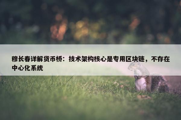 穆长春详解货币桥：技术架构核心是专用区块链，不存在中心化系统