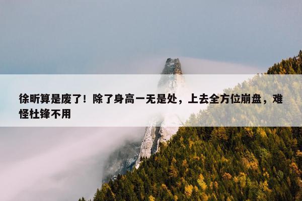 徐昕算是废了！除了身高一无是处，上去全方位崩盘，难怪杜锋不用