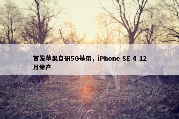 首发苹果自研5G基带，iPhone SE 4 12月量产