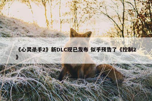 《心灵杀手2》新DLC现已发布 似乎预告了《控制2》