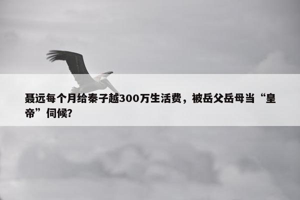 聂远每个月给秦子越300万生活费，被岳父岳母当“皇帝”伺候？