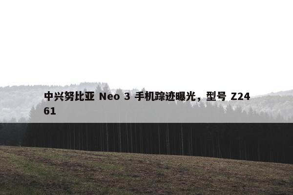 中兴努比亚 Neo 3 手机踪迹曝光，型号 Z2461