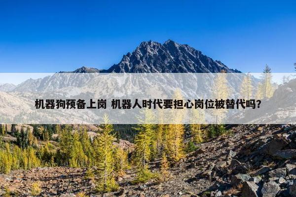 机器狗预备上岗 机器人时代要担心岗位被替代吗？