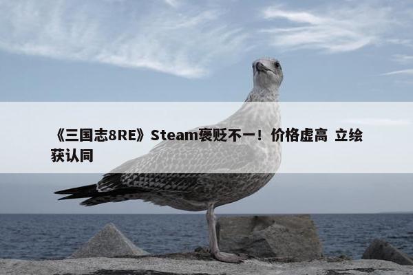 《三国志8RE》Steam褒贬不一！价格虚高 立绘获认同