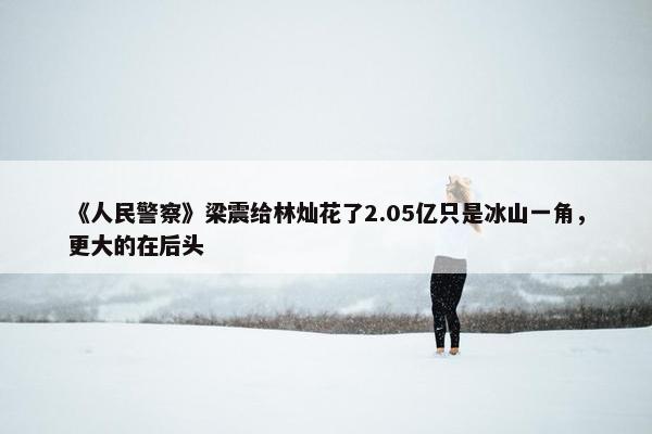 《人民警察》梁震给林灿花了2.05亿只是冰山一角，更大的在后头