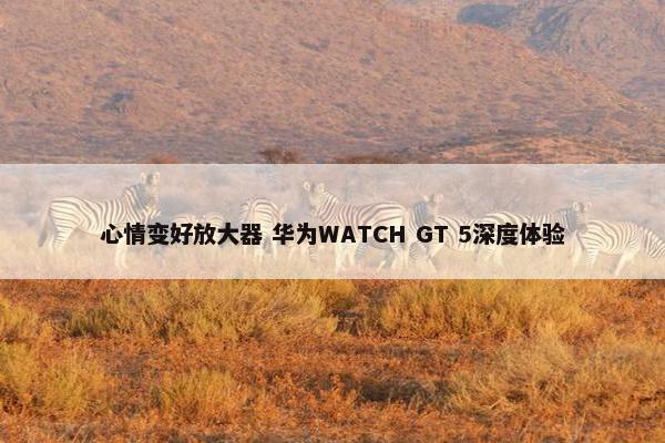 心情变好放大器 华为WATCH GT 5深度体验