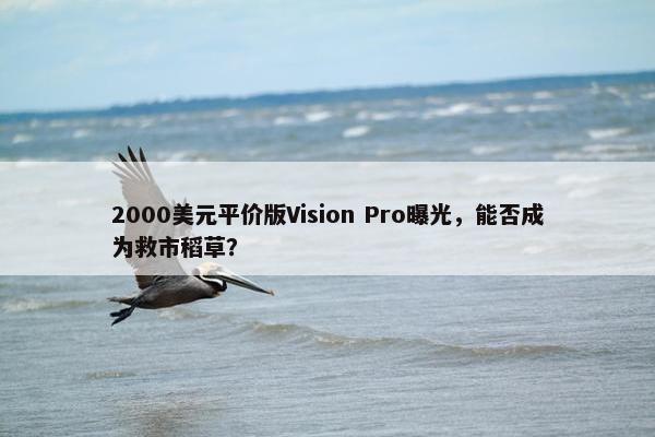 2000美元平价版Vision Pro曝光，能否成为救市稻草？