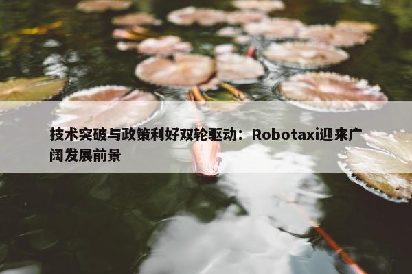 技术突破与政策利好双轮驱动：Robotaxi迎来广阔发展前景