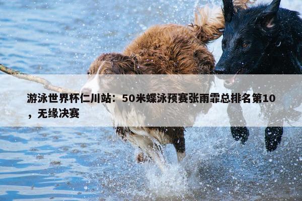 游泳世界杯仁川站：50米蝶泳预赛张雨霏总排名第10，无缘决赛