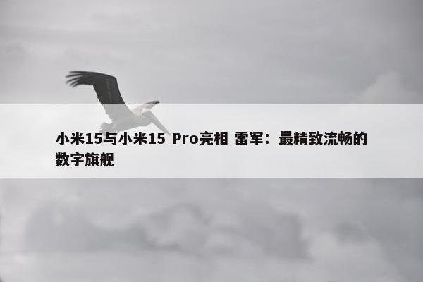 小米15与小米15 Pro亮相 雷军：最精致流畅的数字旗舰