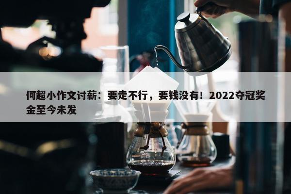 何超小作文讨薪：要走不行，要钱没有！2022夺冠奖金至今未发