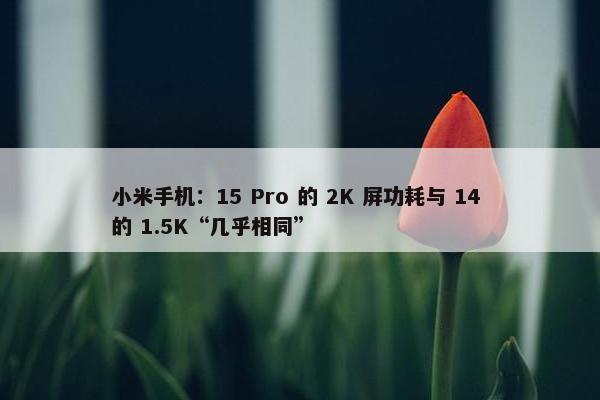 小米手机：15 Pro 的 2K 屏功耗与 14 的 1.5K“几乎相同”