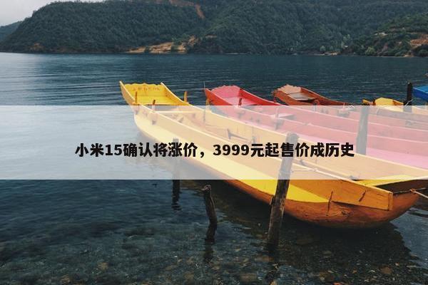 小米15确认将涨价，3999元起售价成历史