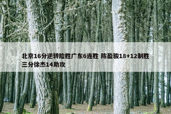 北京16分逆转险胜广东6连胜 陈盈骏18+12制胜三分徐杰14助攻