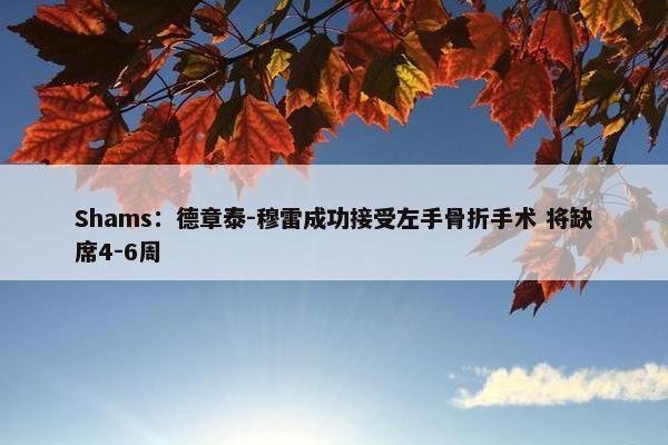 Shams：德章泰-穆雷成功接受左手骨折手术 将缺席4-6周