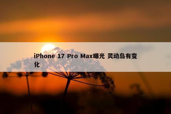 iPhone 17 Pro Max曝光 灵动岛有变化