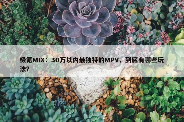 极氪MIX：30万以内最独特的MPV，到底有哪些玩法？