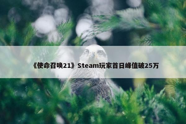 《使命召唤21》Steam玩家首日峰值破25万