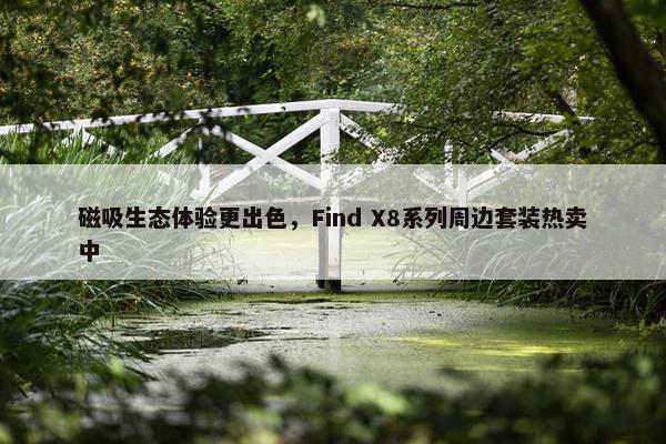 磁吸生态体验更出色，Find X8系列周边套装热卖中