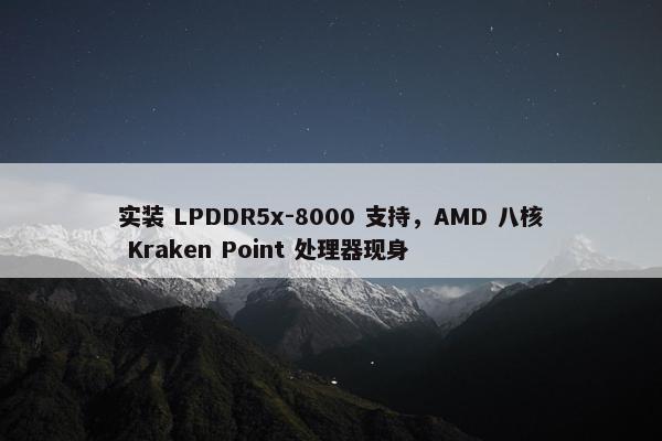 实装 LPDDR5x-8000 支持，AMD 八核 Kraken Point 处理器现身