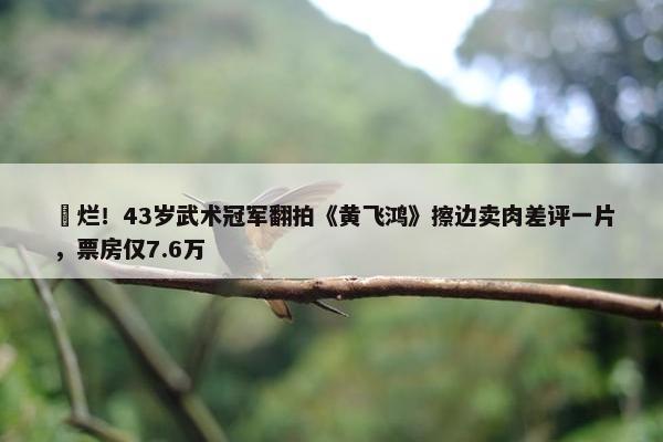 ​烂！43岁武术冠军翻拍《黄飞鸿》擦边卖肉差评一片，票房仅7.6万