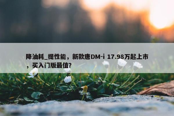 降油耗_提性能，新款唐DM-i 17.98万起上市，买入门版最值？