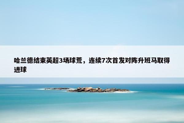 哈兰德结束英超3场球荒，连续7次首发对阵升班马取得进球