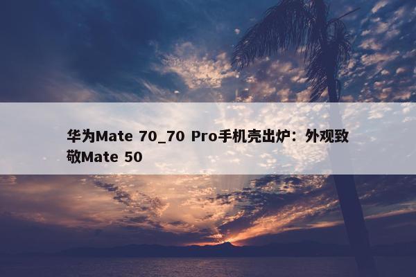 华为Mate 70_70 Pro手机壳出炉：外观致敬Mate 50