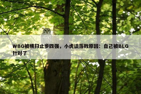 WBG被横扫止步四强，小虎谈落败原因：自己被BLG针对了